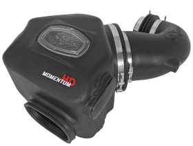 Momentum HD Pro DRY S Air Intake System 51-72001
